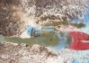 短跑新星闪耀全国青年锦标赛，破纪录夺冠引关注